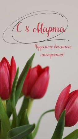 8марта2026г.1 1